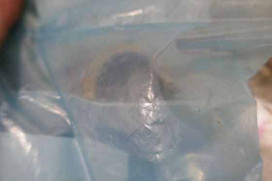 Wärtsilä Bush DZ04001349 #2