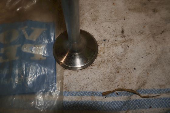 Volvo Penta Exhaust Valve 423017 #2