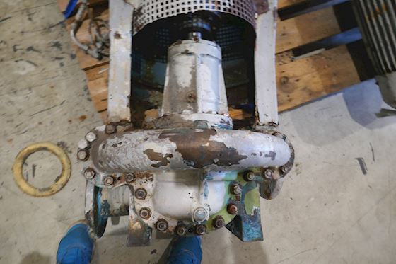 Heinrich behrens VNF 4/325 #8