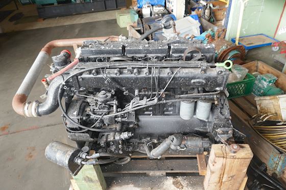 MAN D0836LF01  6 Cyl. #1