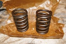 Bergen Ulstein Rolls Royce Plunger Spring 022162 - 1