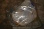 Volvo Penta Piston Ring Kit VOP276851 #2