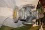 Ari ARI 3 ways Control Valve DN40 PN16 Serie 7,08 JL 1040 #10