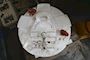 Intermot Five Star Radial Pison Hydraulic Motor 2EG D90 #7