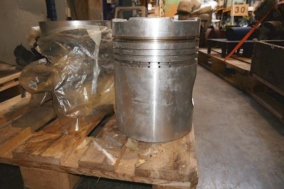 WellWorthy Ruston Piston 17469 STND  AL-FIN #1