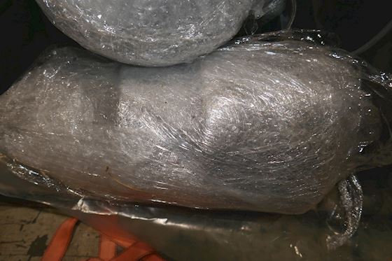 ZF BW-160   3080001037 #12