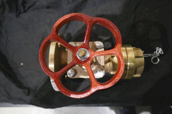 Dikkan Valve Fire Hydrant Valve DN 50 #2