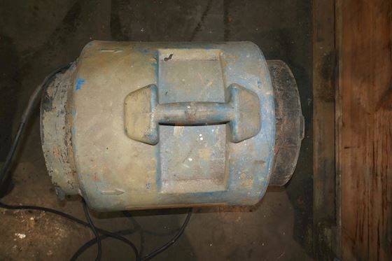 Staring AP110012-1 #4