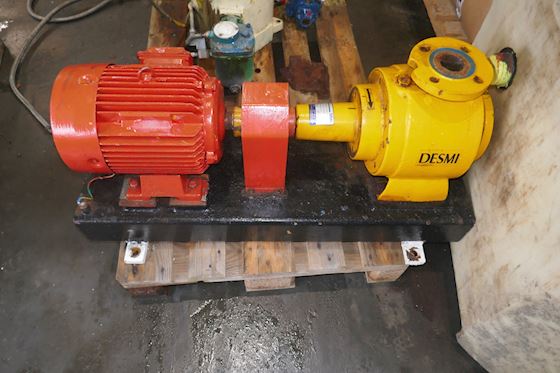 Desmi S70-50-175N/A09 #2