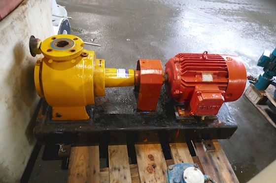 Desmi S70-50-175N/A09 #3