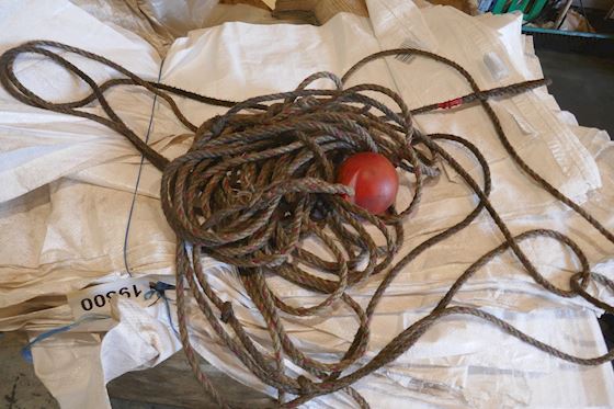 Unknown Throwing Line #1