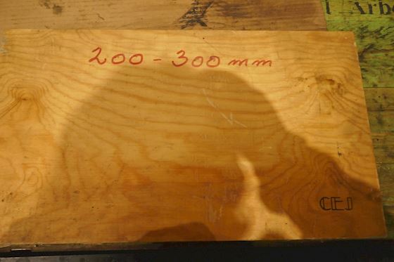 CEJ Micrometer 200-300mm #3