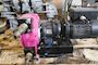 RealAx Hose Pump ISI 16 for Water Treatment #1