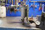 Mann & Hummel GMBH Dual Fuel Filter #5