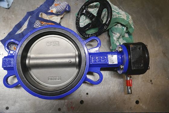 Sigeval Butterfly Valve with Gearbox KL650150 #2