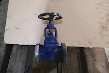 Ari Globe Valve GS-C25N - 1