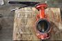 Butterfly Valve DN80  PN 16 #2