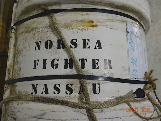 SOLAS 74/96 Inflatable Liferaft #4