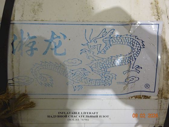 SOLAS 74/96 Inflatable Liferaft #10