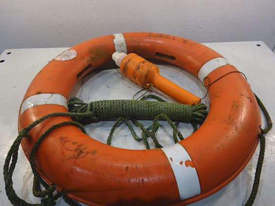 Dolphin Life Buoy with light #1