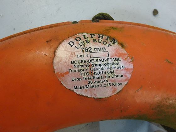 Dolphin Life Buoy with light #2