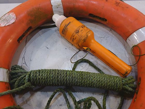 Dolphin Life Buoy with light #3