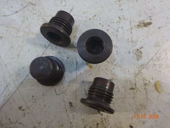 Wärtsilä- Wartsila Grub Screw #3