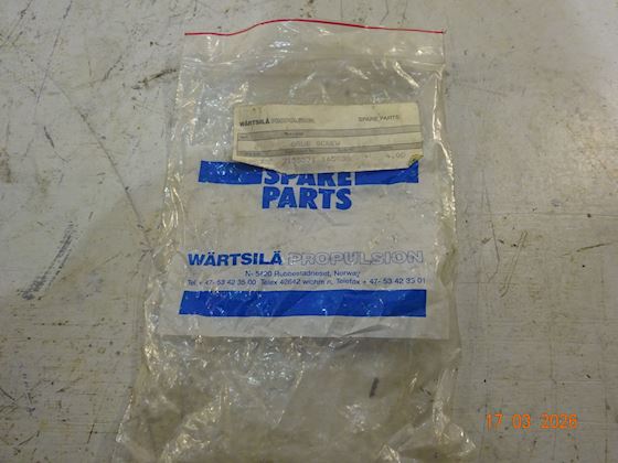 Wärtsilä- Wartsila Grub Screw #4