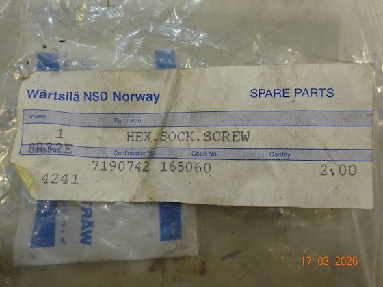 Wärtsilä- Wartsila Hex. Sock. Screw #2