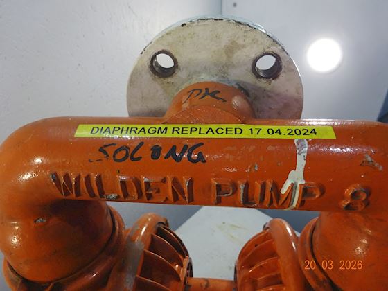 Wilden Diaphragm Pump 8 #3