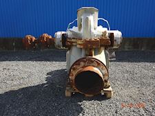Flowserve 300-LNN-750 - 1