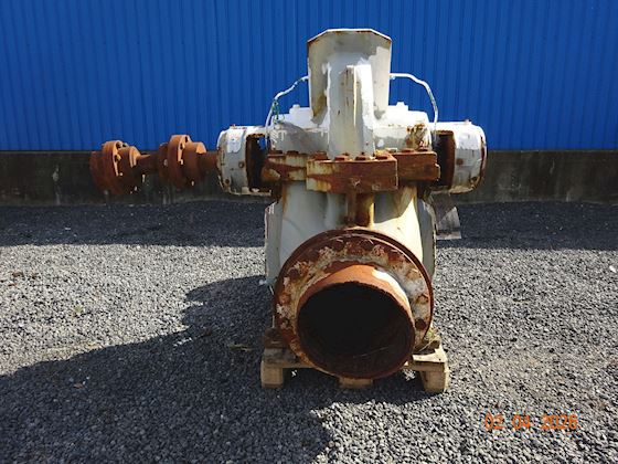 Flowserve 300-LNN-750 #1