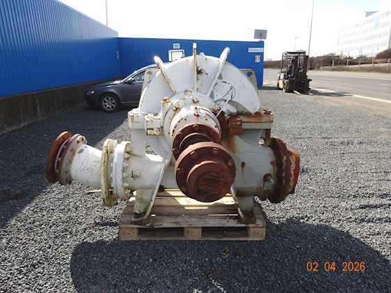 Flowserve 300-LNN-750 #2