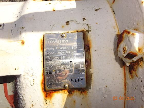 Flowserve 300-LNN-750 #5