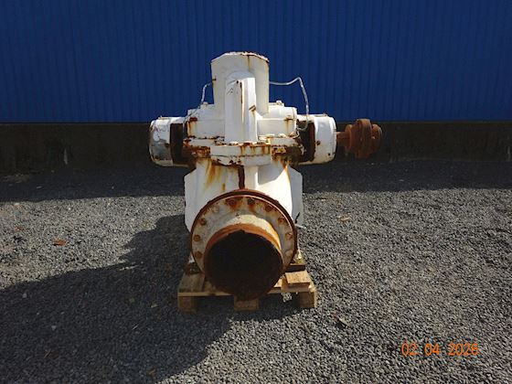 Flowserve 300-LNN-750 #6