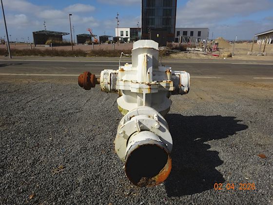 Flowserve 300-LNN-750 #8