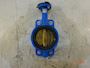 Ego GGG40 Butterfly Valve #1