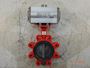 LUGN Butterfly Valve W/ AVI2300 Pneumatic Actuator #1