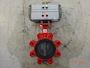 LUGN Butterfly Valve W/ AVI2300 Pneumatic Actuator #2