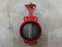 Robinet RVA 04W PN16 Butterfly Valve #1