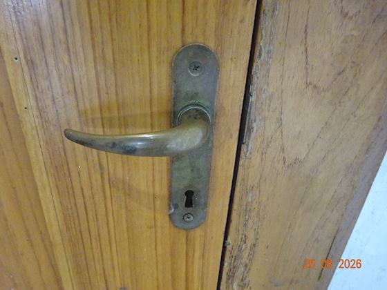 Wooden Door with Brass Handle and Hinges #2