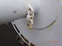 Net Drum/Winch #4