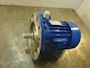 Cantoni Elmotor #1