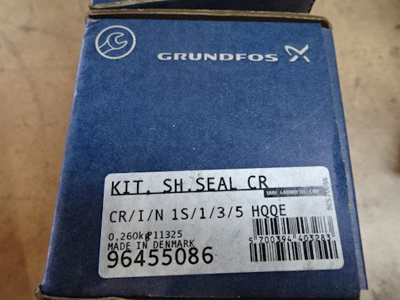 Grundfos 96455086 #1