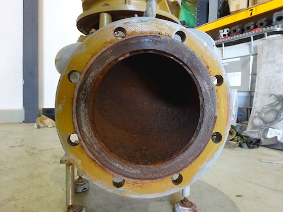 Grundfos CLM 200-315/45 AAA #3