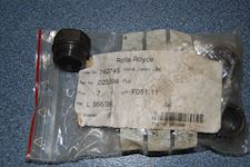 Bergen Ulstein Rolls Royce Plug FO pump - 1