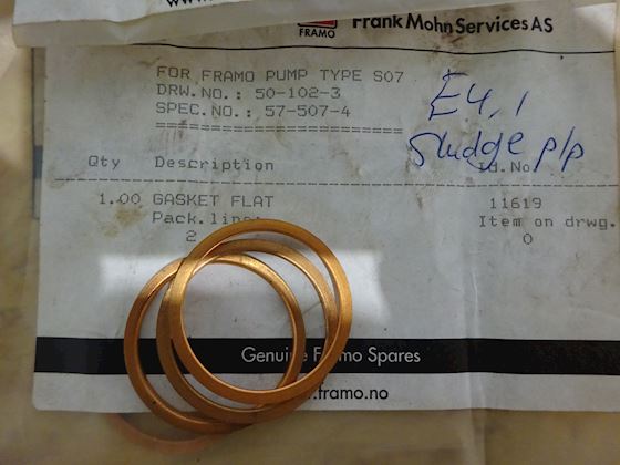 Framo Gasket Flat 11619 #1