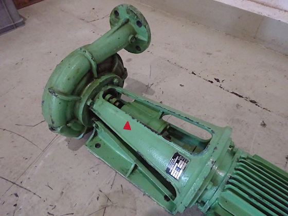 Heinrich behrens SFN61 #5