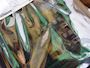 Alfa Laval Heatpac Controle Module 3183034191 #2