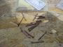 Alfa Laval Split pin 1643400 #1
